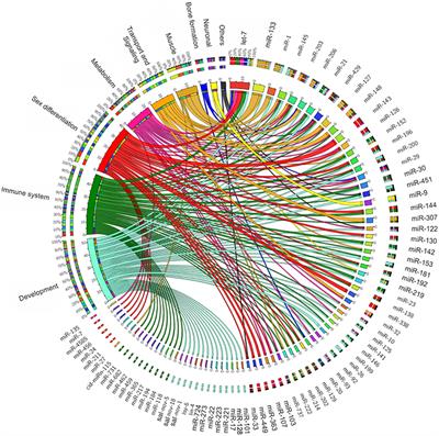 Fishing Into the MicroRNA Transcriptome